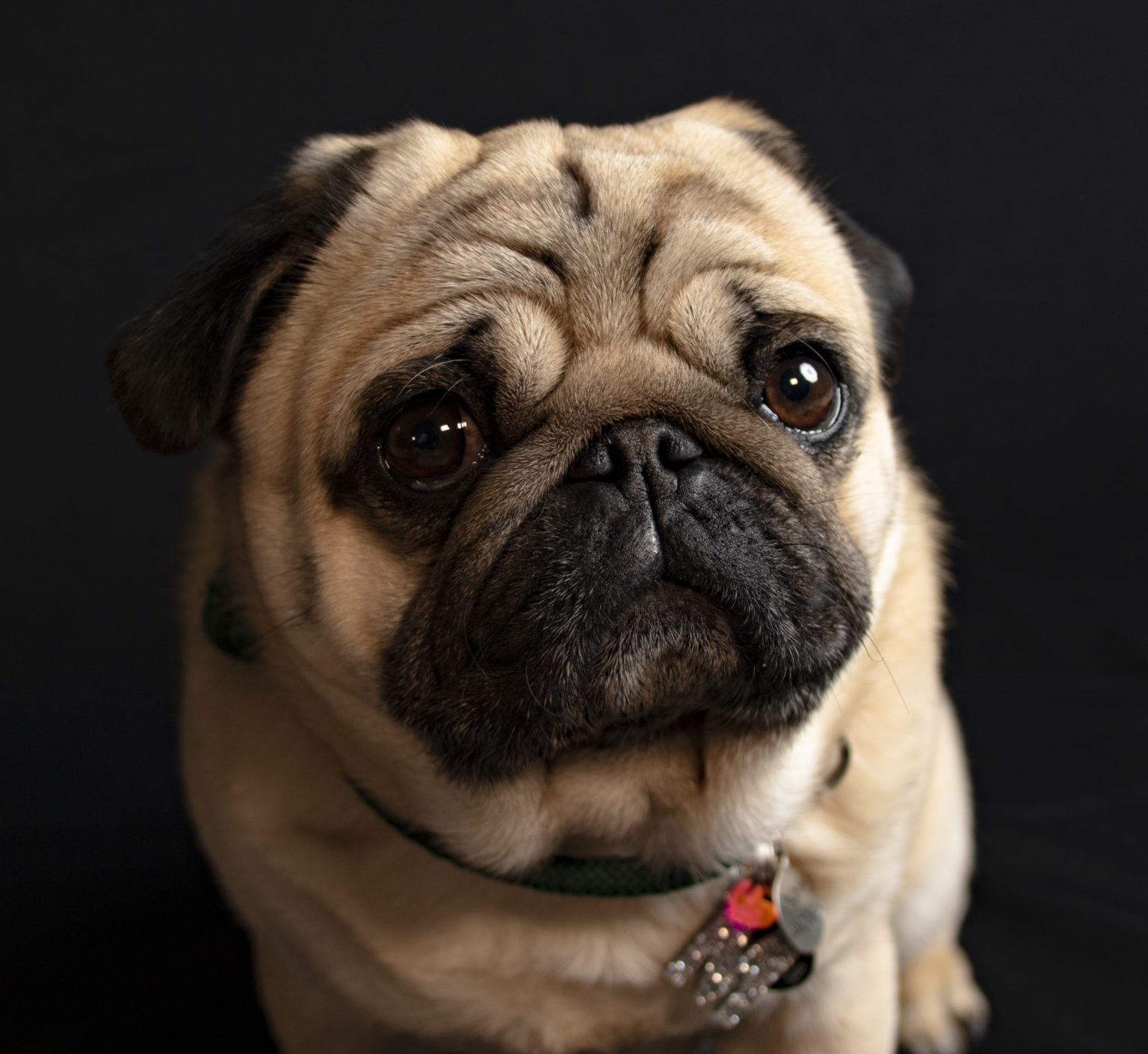 90 Days to a Goal. Day 6, 7, and 8?