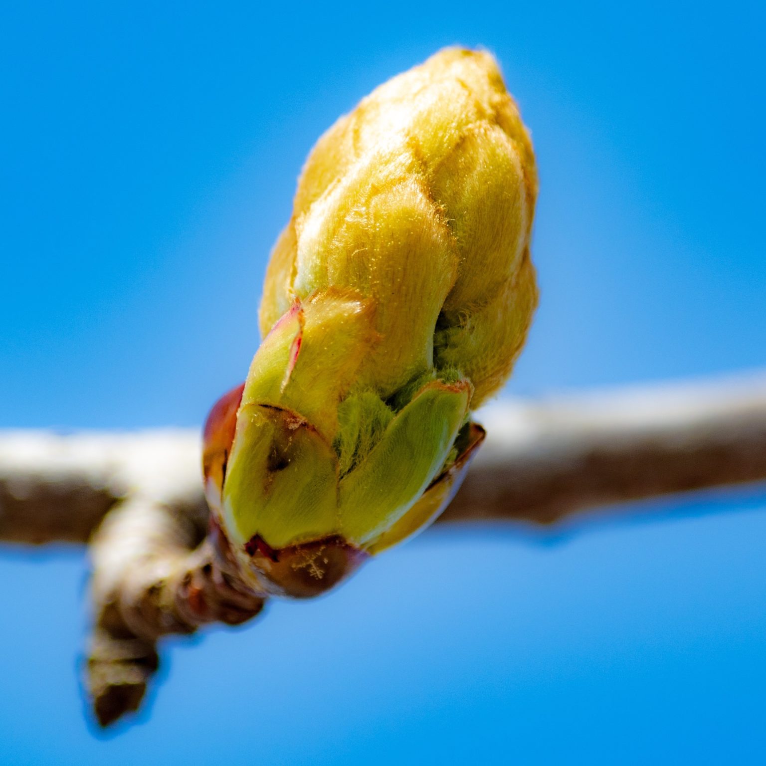 90 Days to a Goal… on hold?