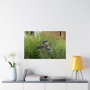 Wings of the Desert – Roadrunner in Mid-Flight, New Mexico