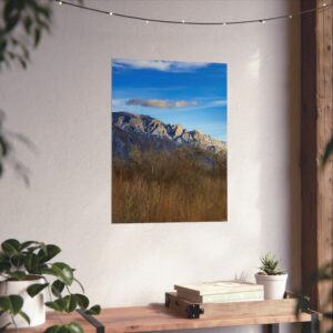 Winter Awakening – Sandia Mountains from the Rio Grande Bosque