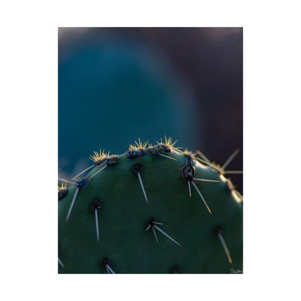 Golden Spines - Southwest art, southwest decor, southwest photography